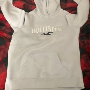 holister hoodie